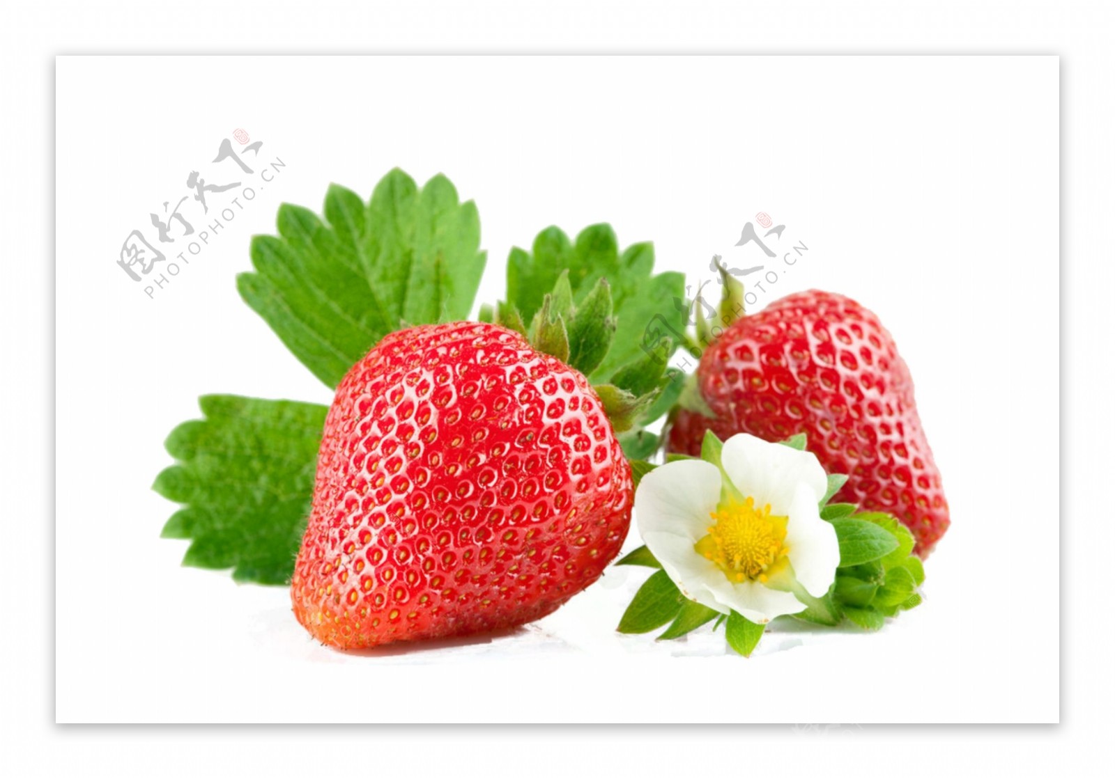 诱人草莓
