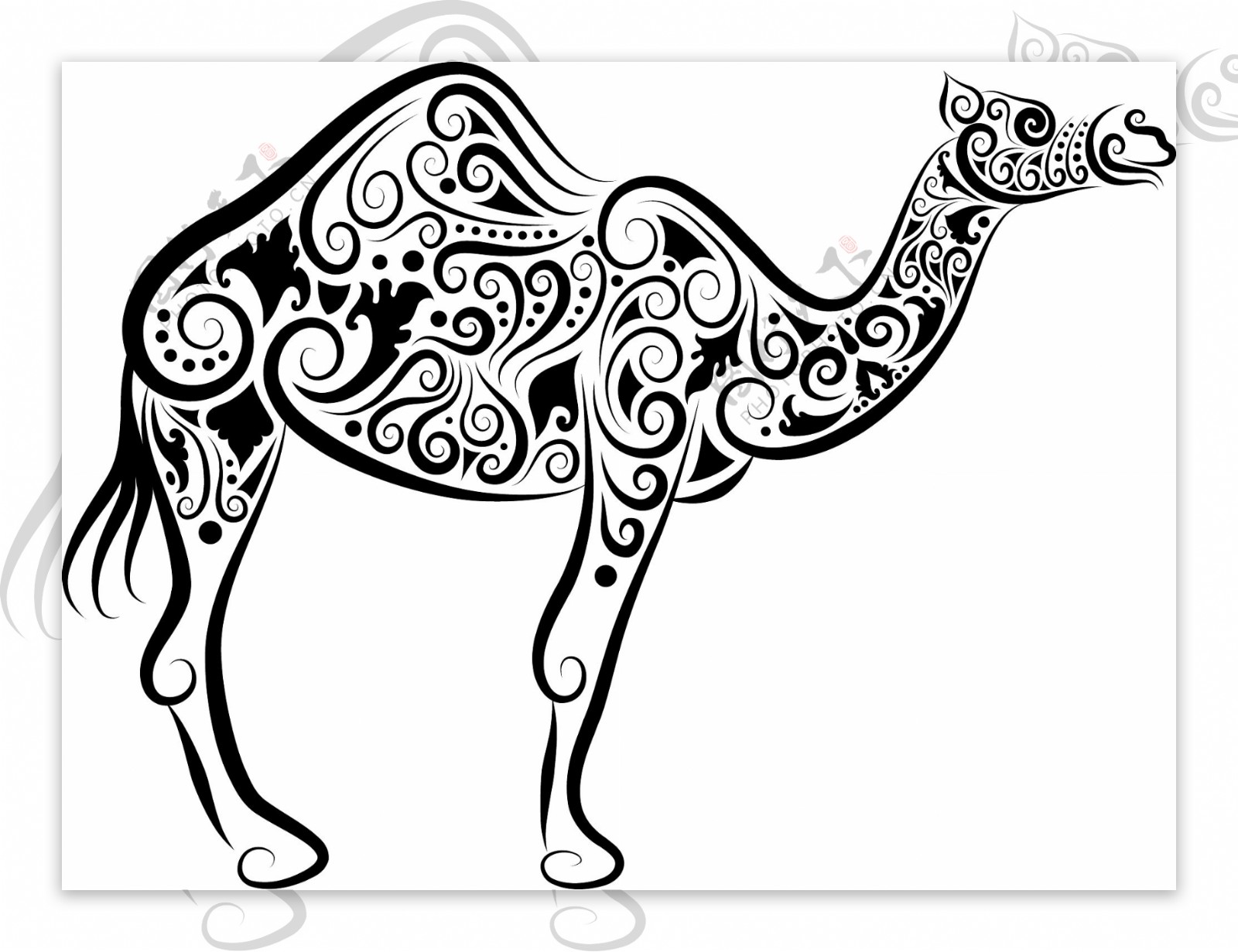 矢量素材手绘骆驼图案