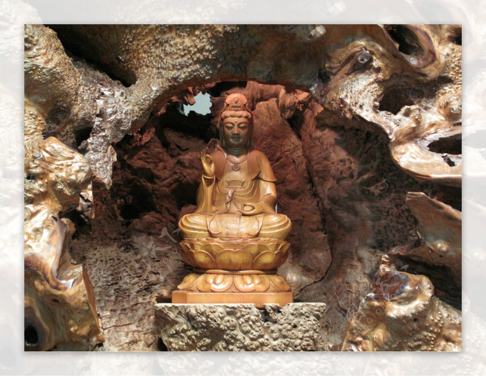 樹木中的菩薩雕像图片