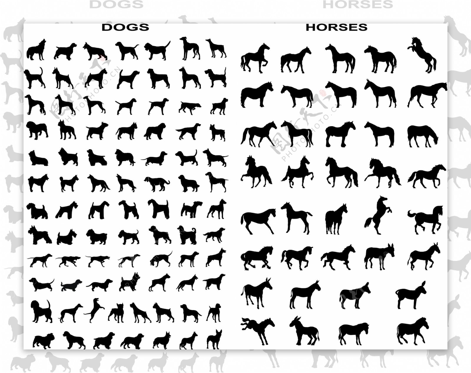 马和狗轮廓矢量