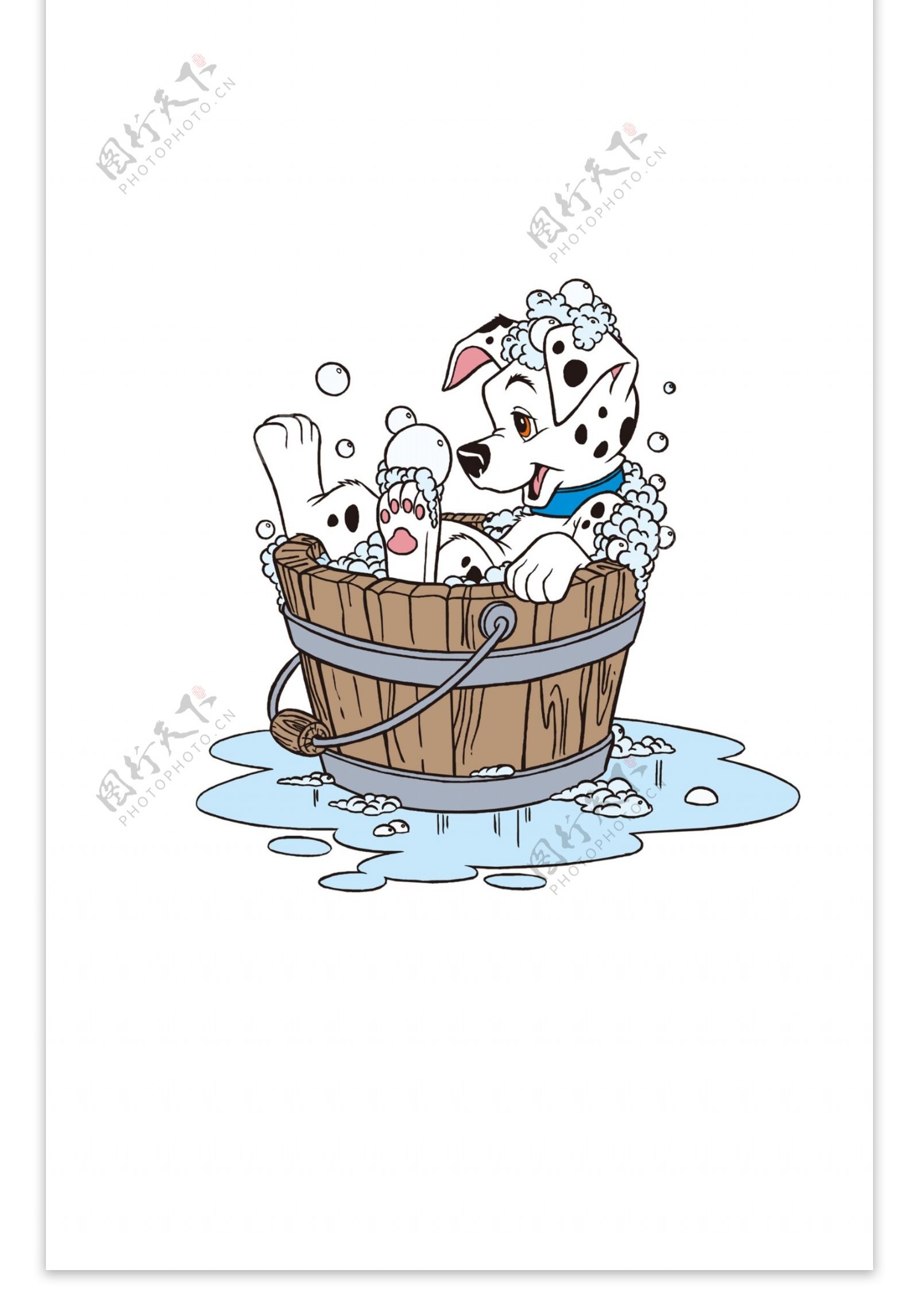 斑点狗洗澡图片