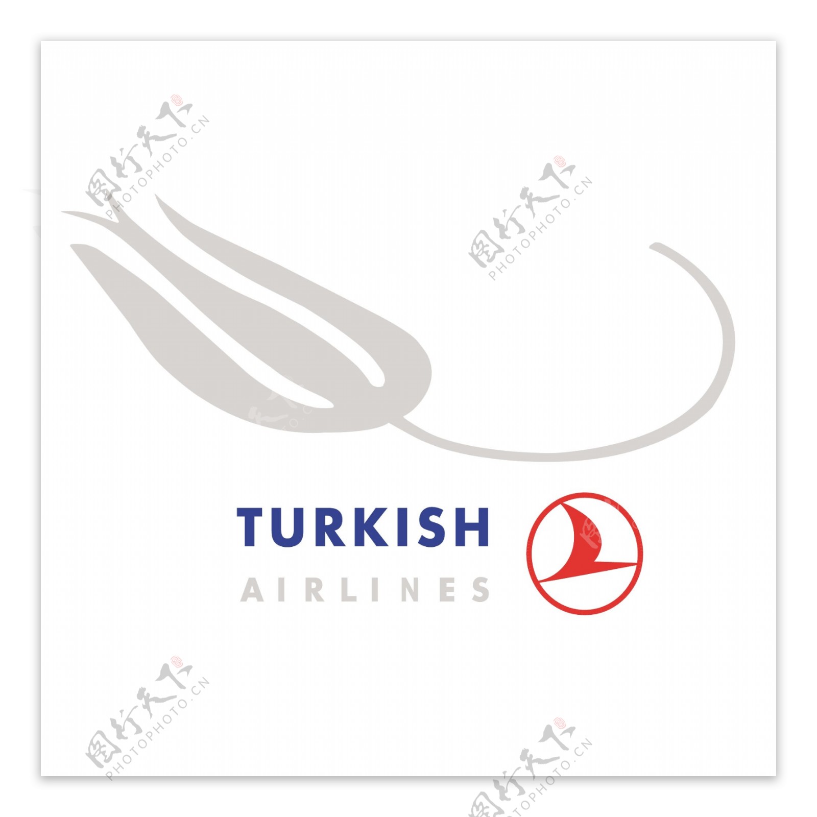 土耳其航空公司2005