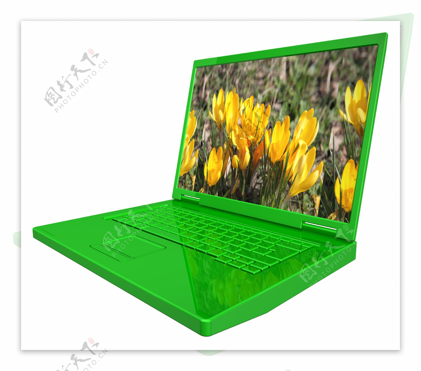绿色的春天的笔记本电脑孤立在白色