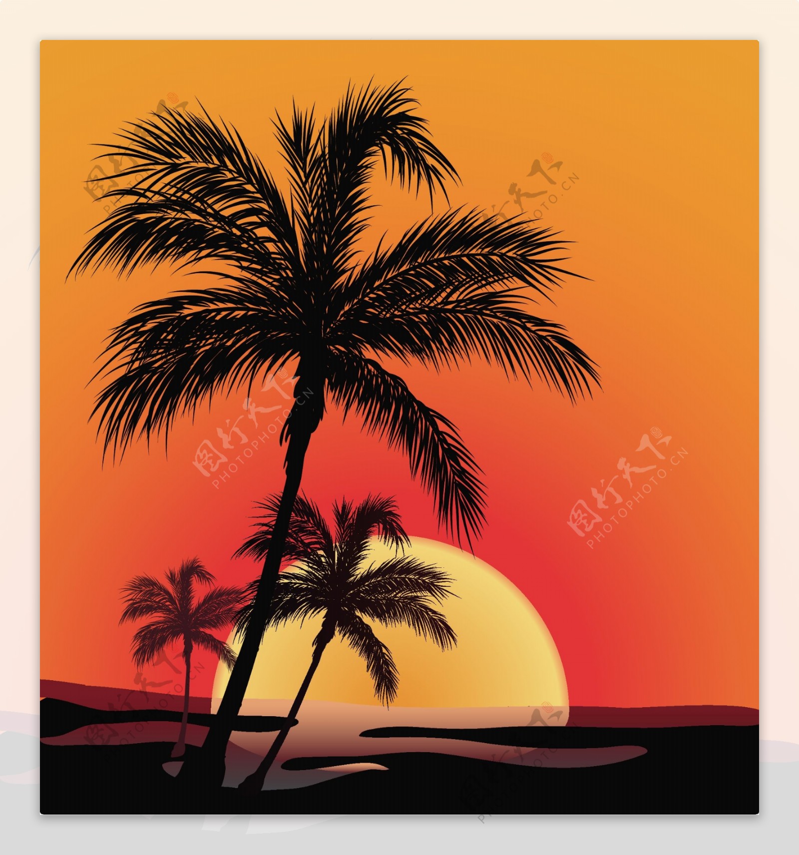 日落海滨椰子的影子