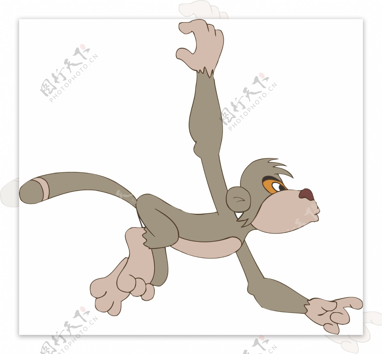 猴子卡通图片