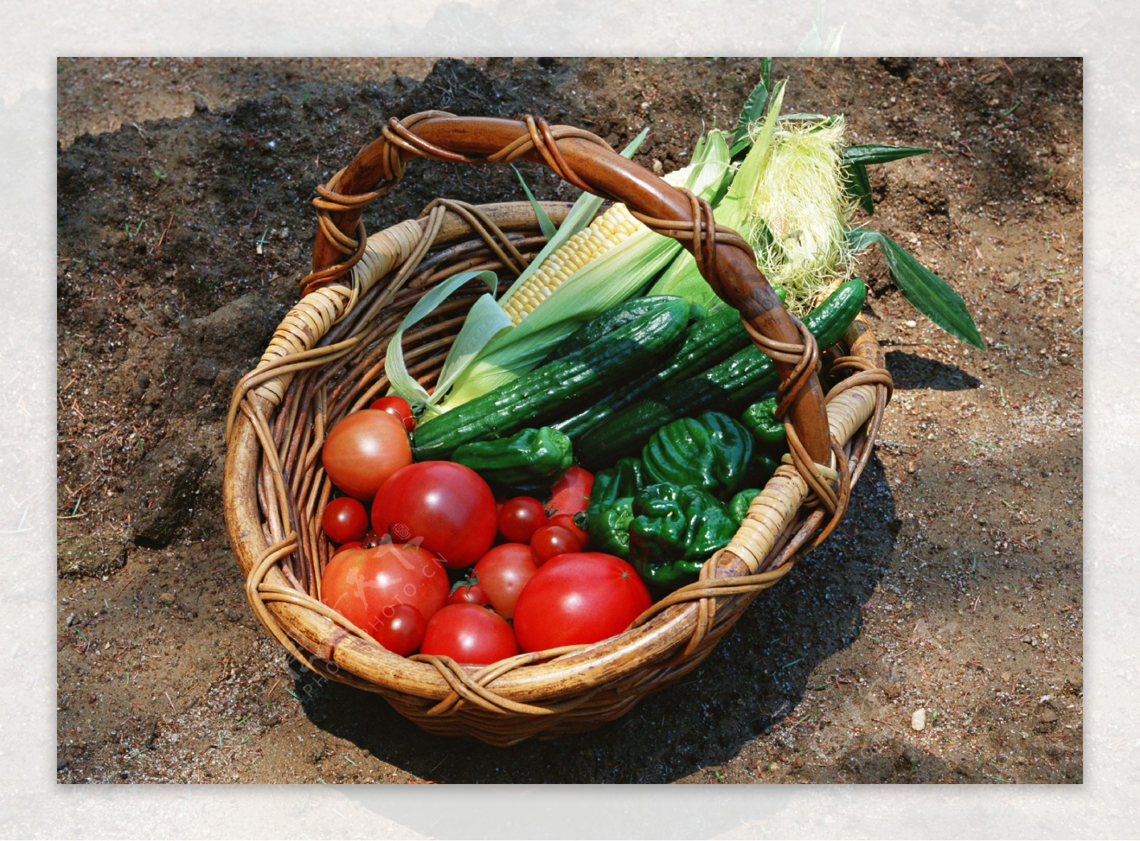 蔬菜瓜果篮筐里的蔬菜