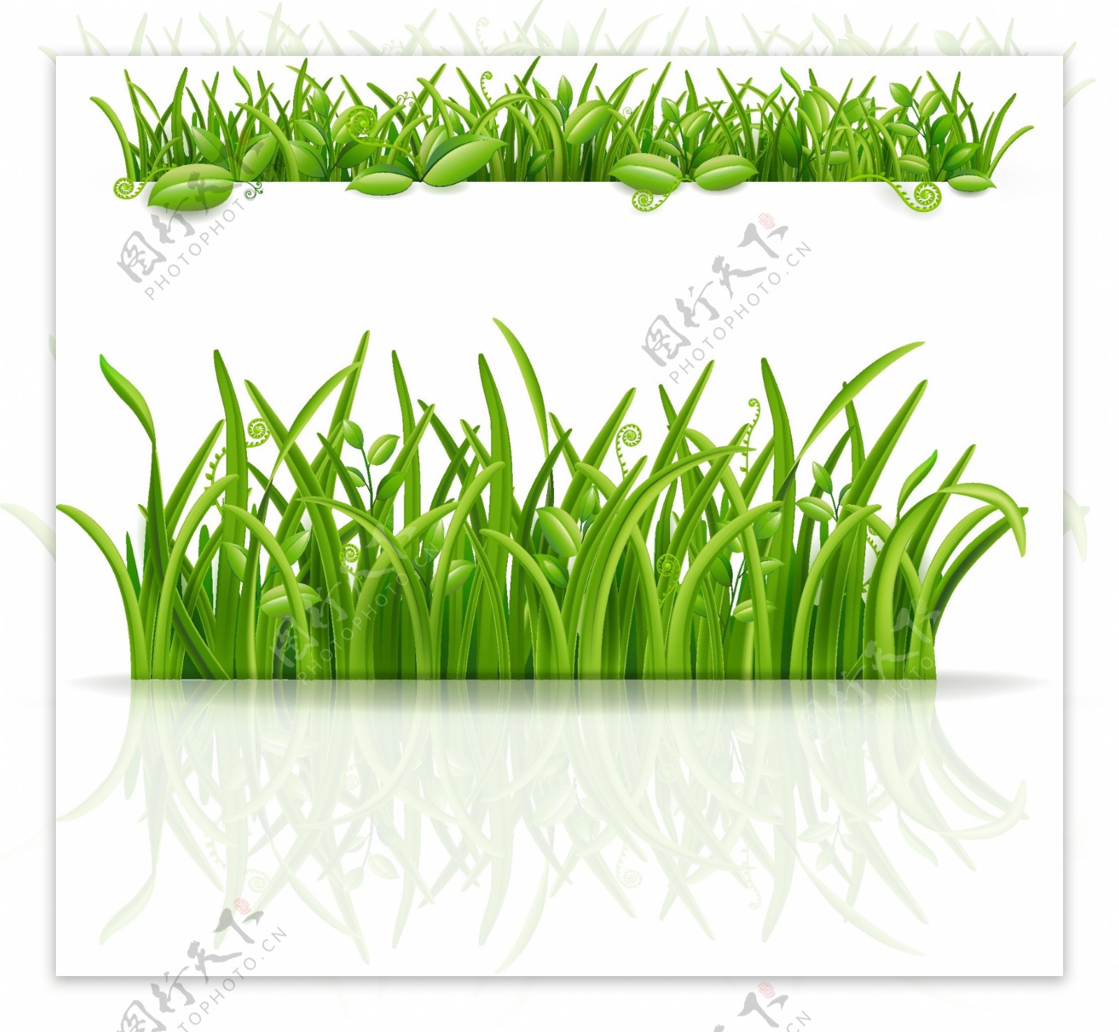 绿色的小草