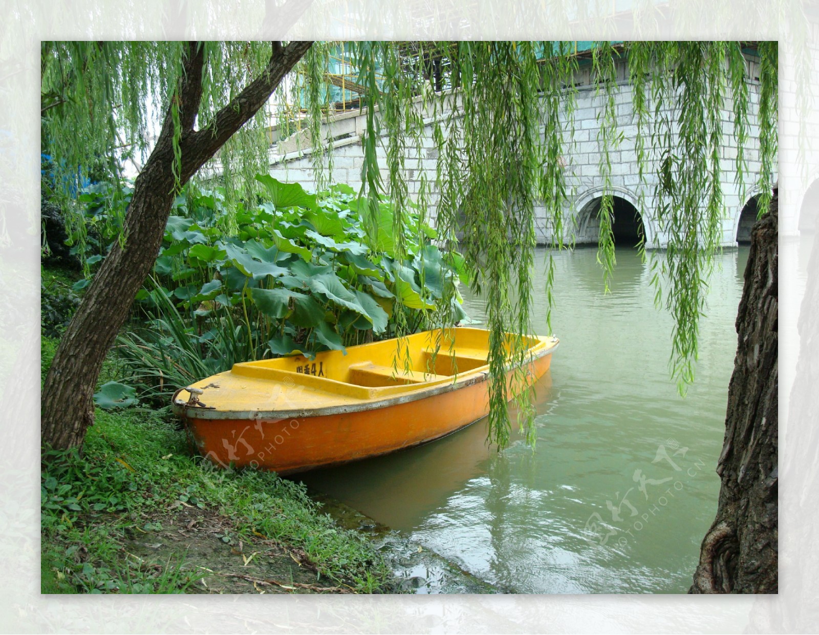 河边停靠的黄色小木船在垂柳下