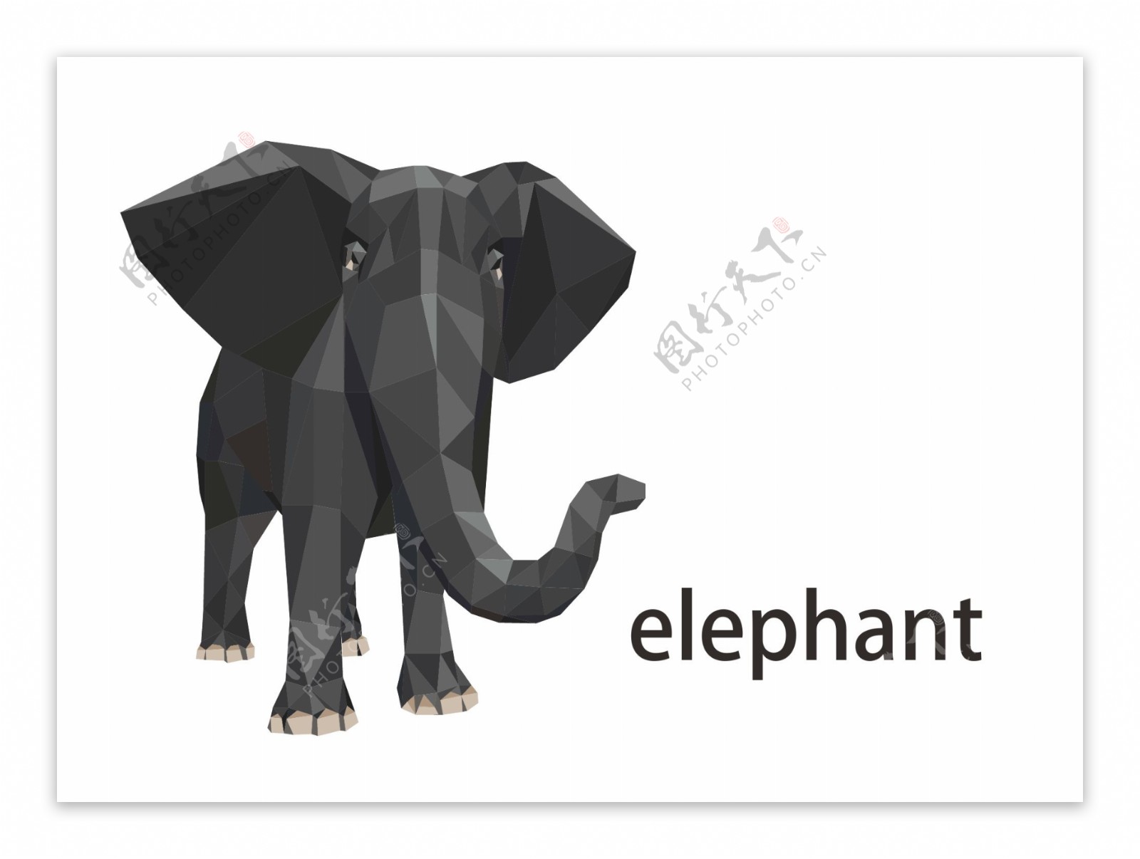大象低面建模图片