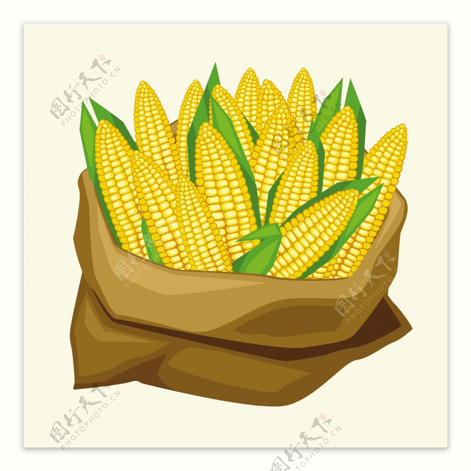 玉米蔬菜设计图片