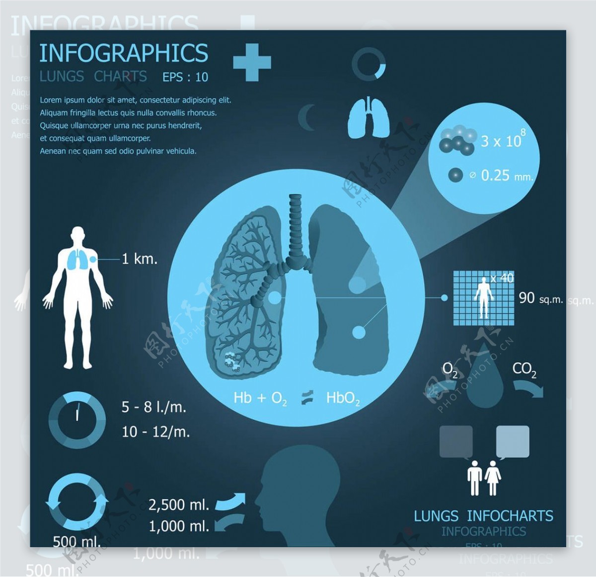肺部医学医疗设计图片