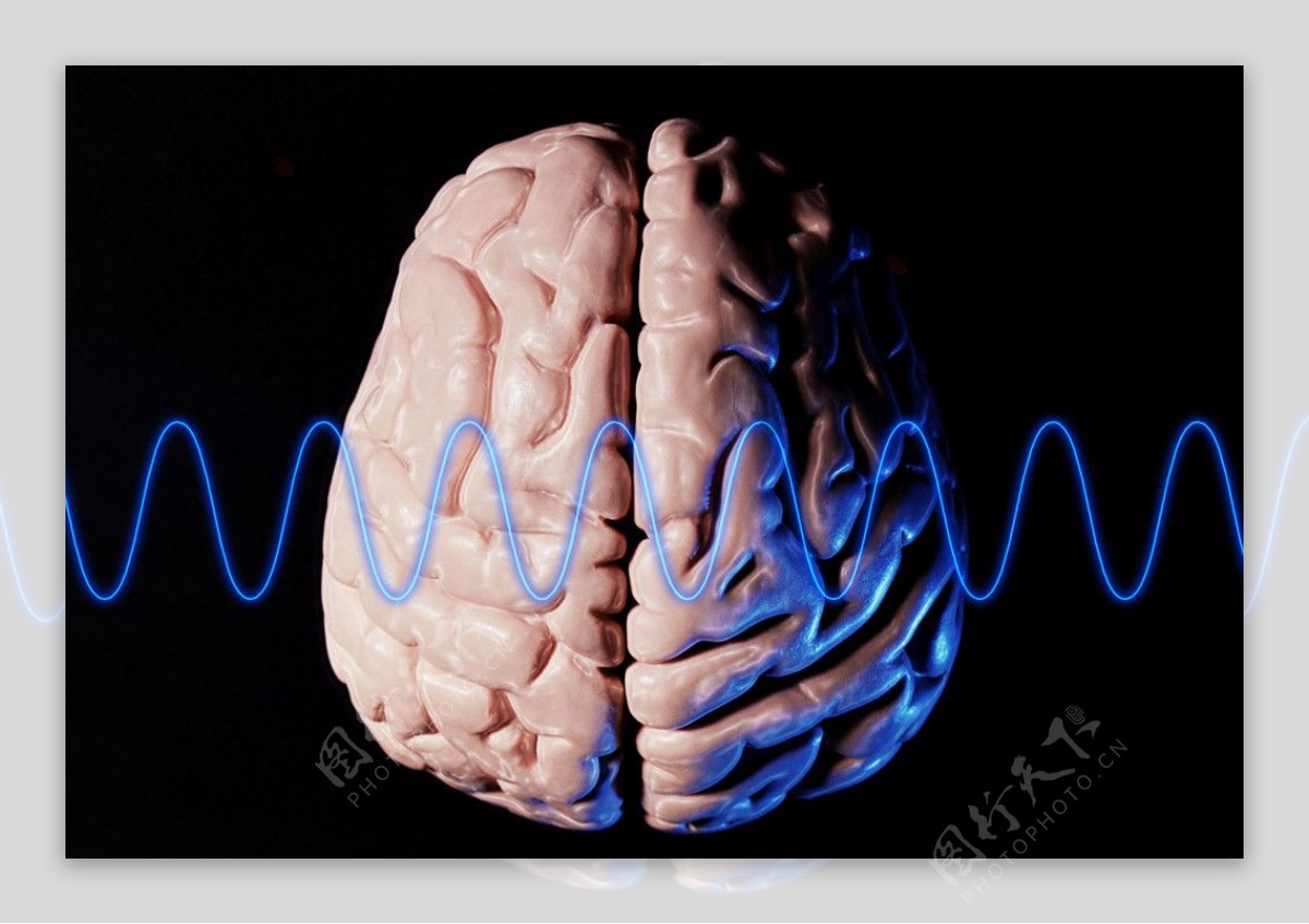 大脑模型脑电波图片