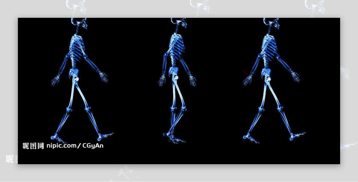 骨骼透视X光底图图片