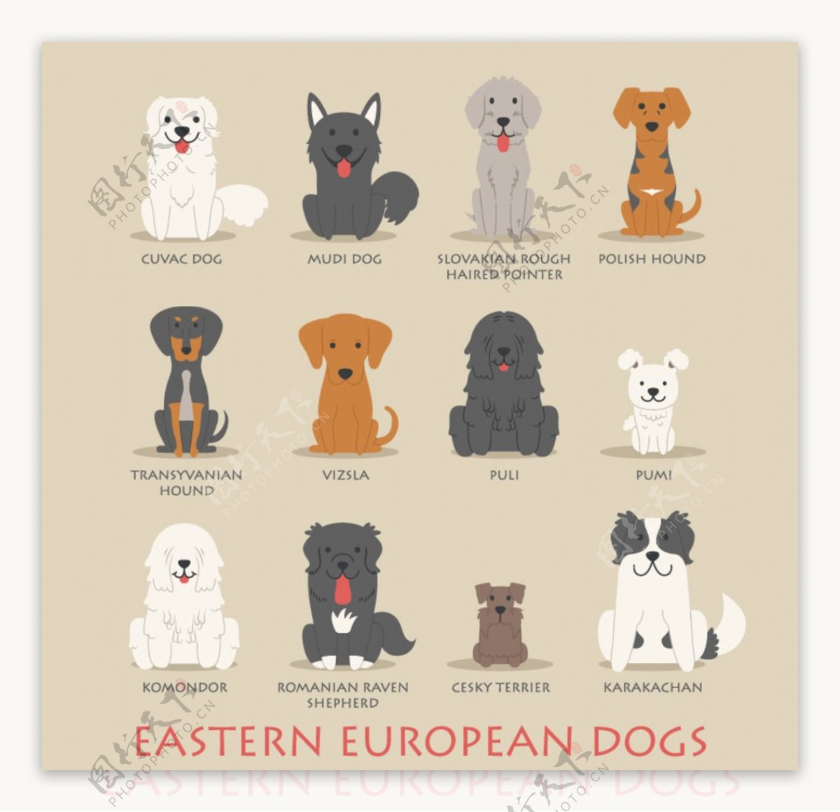 东欧宠物狗设计图片