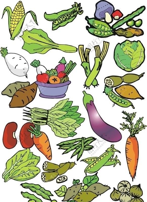 矢量蔬菜合辑1图片