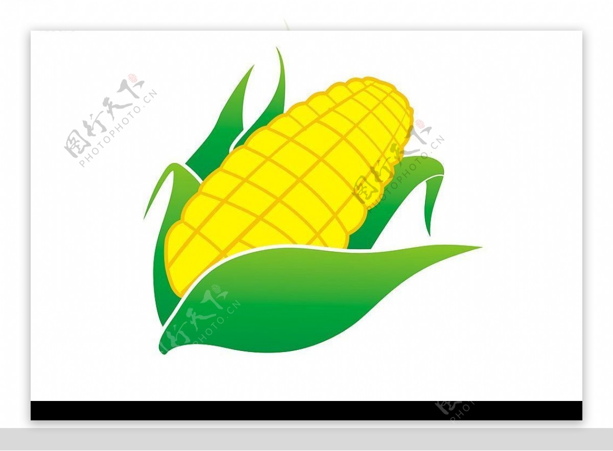 玉米矢量图cdr图片