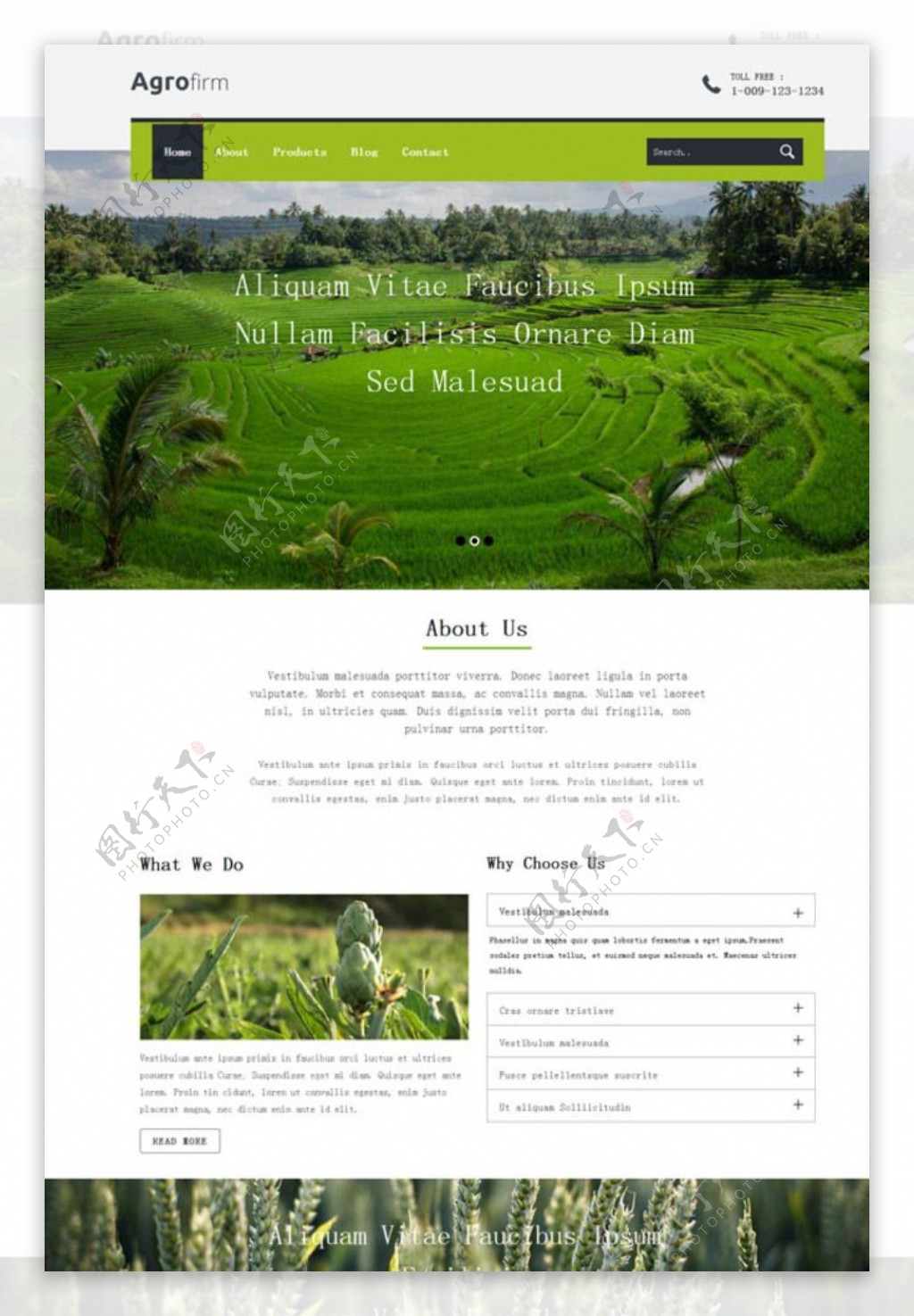 农业生产企业网站模板图片
