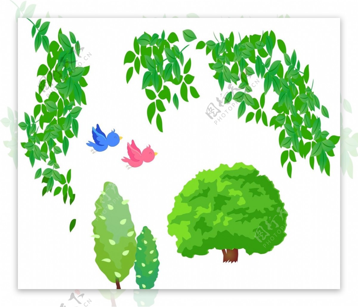 绿藤树木小鸟图片