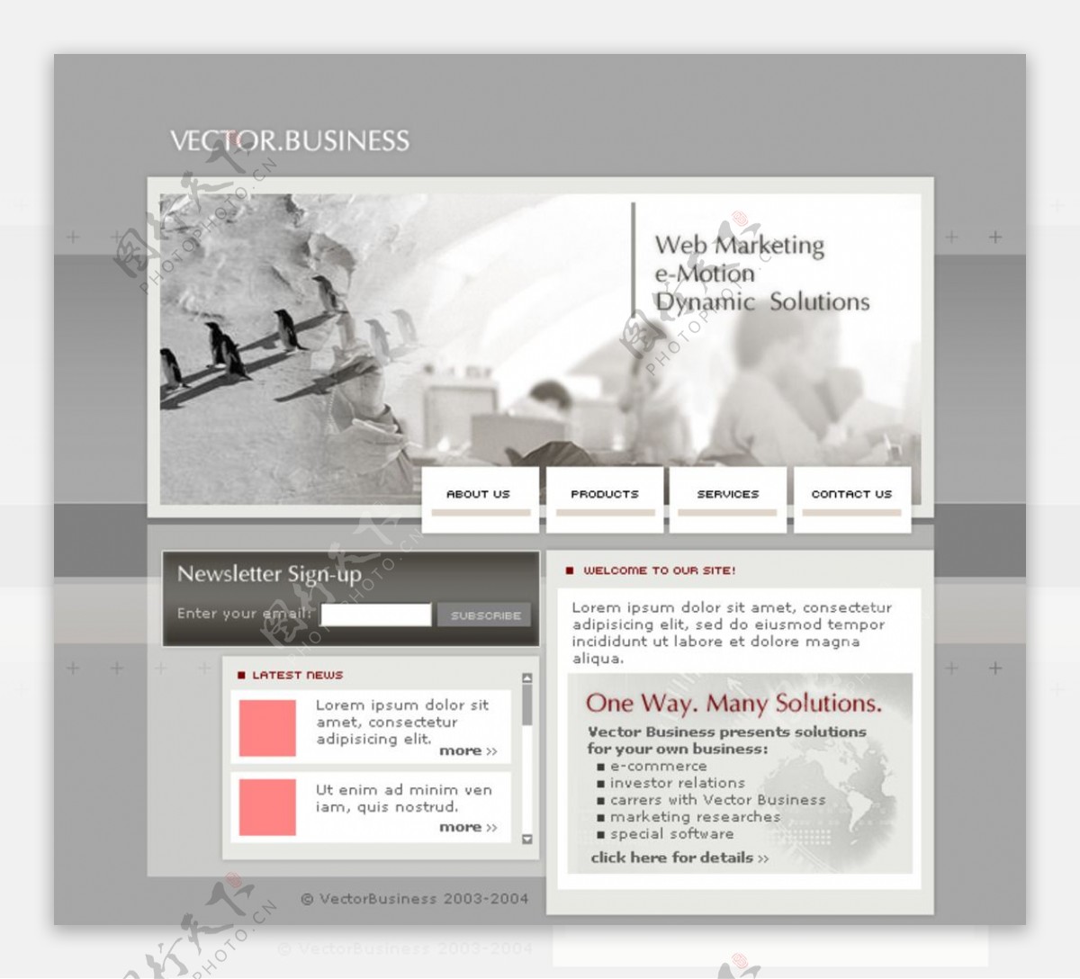 设计网站模板图片