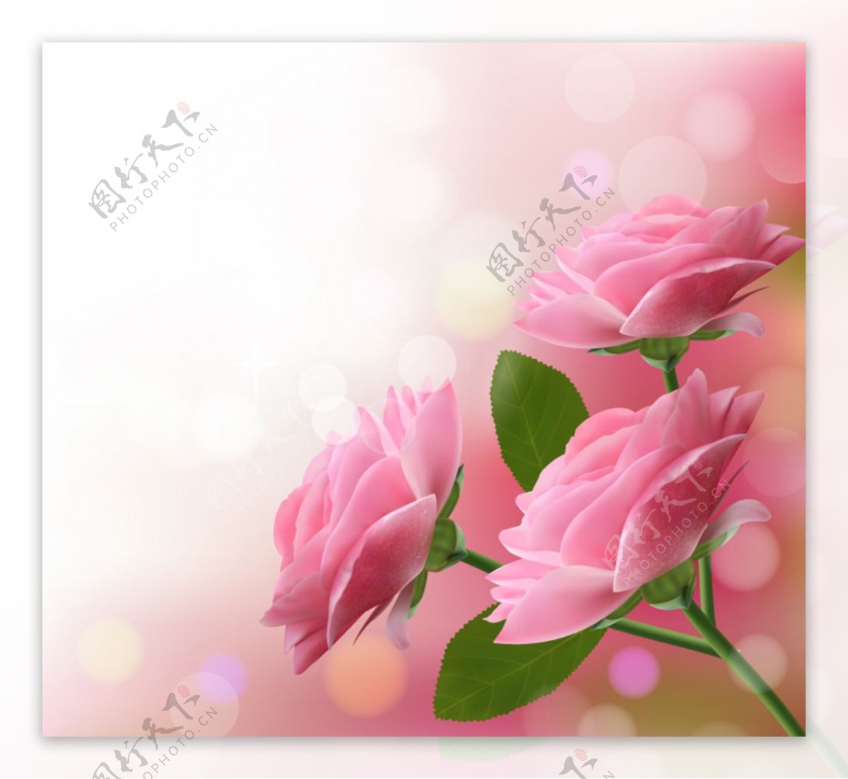 梦幻粉色玫瑰花矢量素材图片