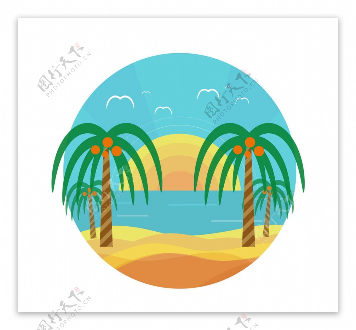 海岛椰子树夏季旅游图片