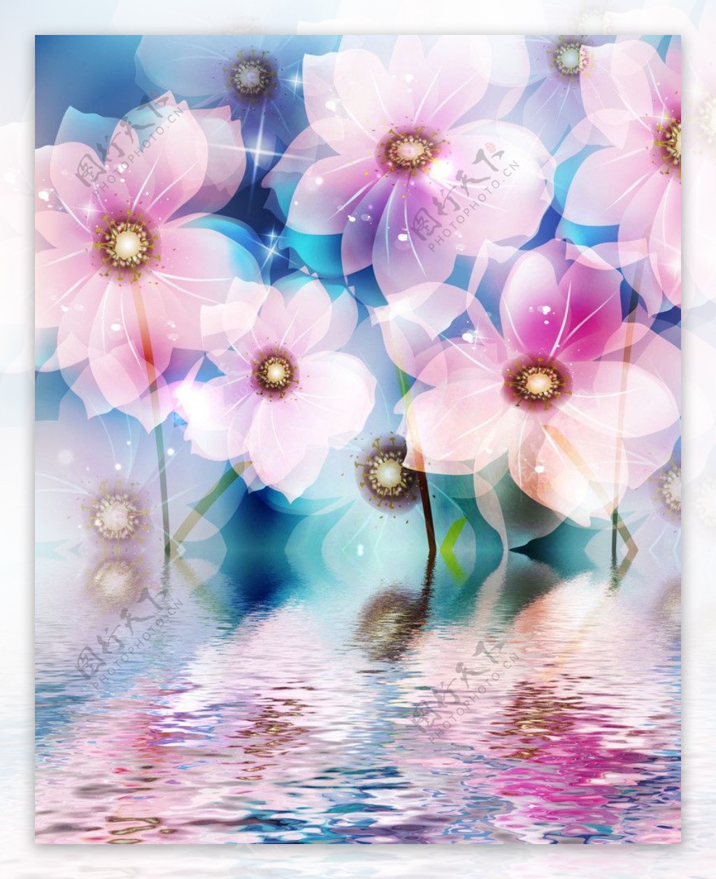 花朵水纹图片