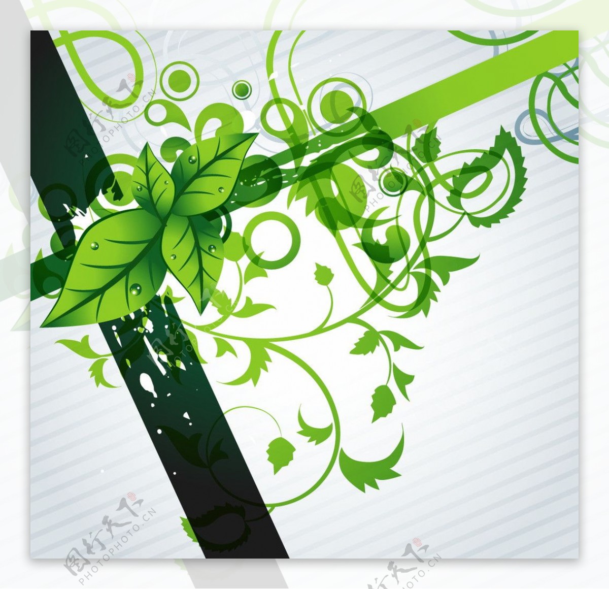 绿色自然动感线条绿叶图片