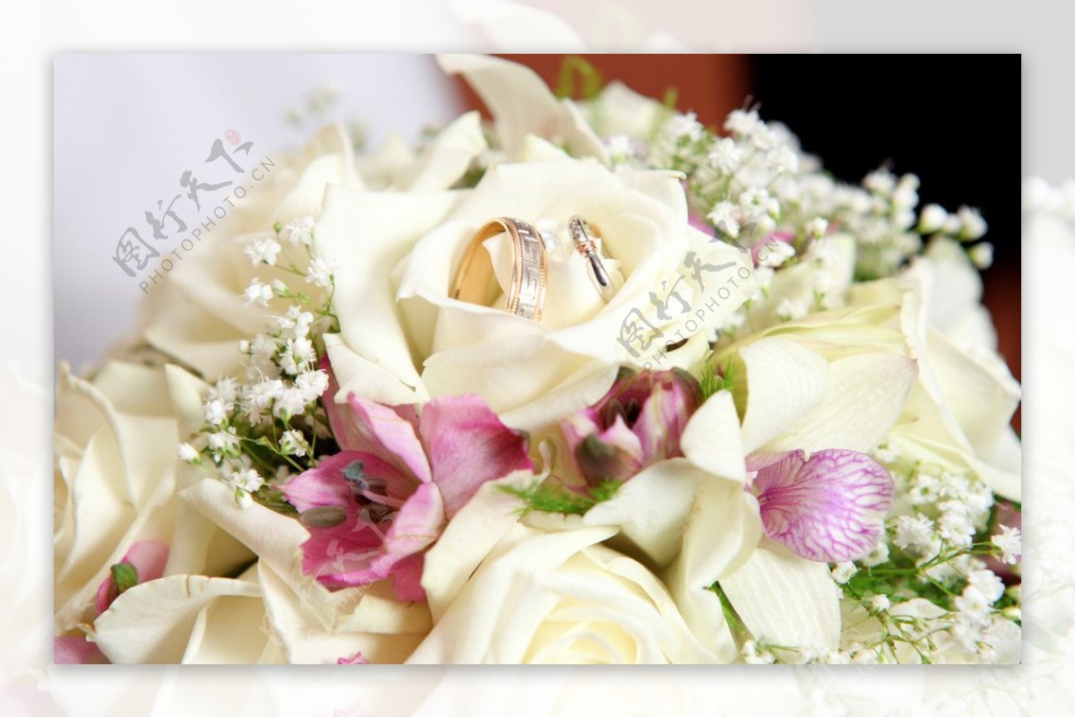 婚礼鲜花摄影图片素材-编号26818124-图行天下