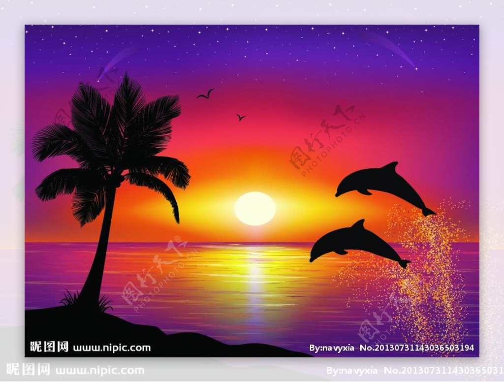 夕阳下的海豚图片