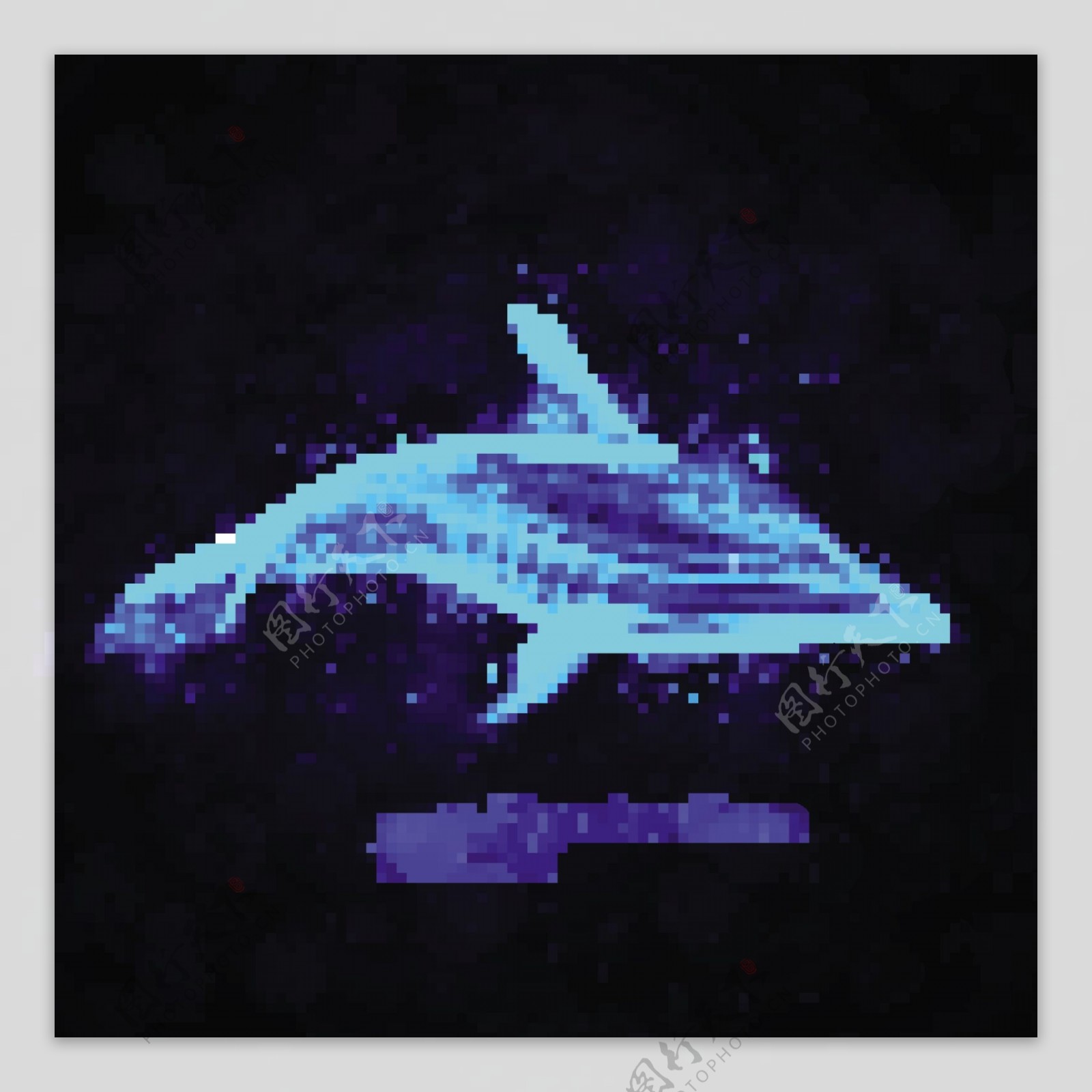 光线海豚图片