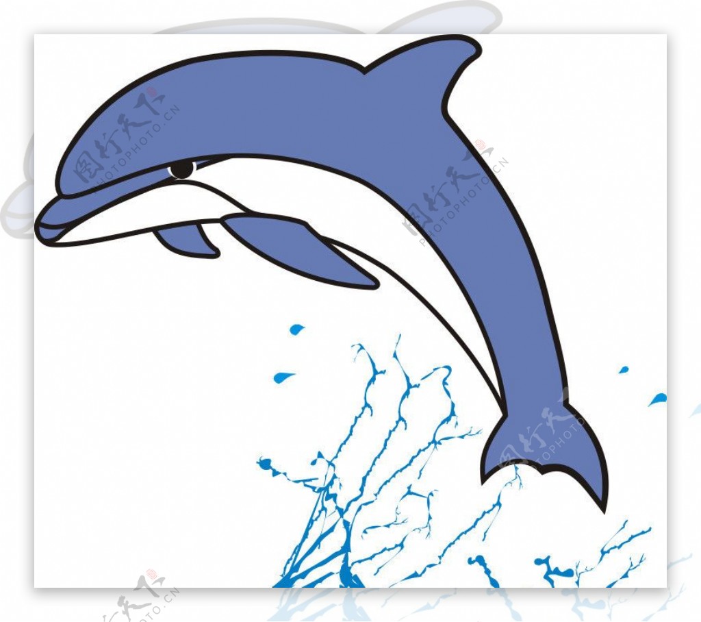 海豚水花矢量图图片