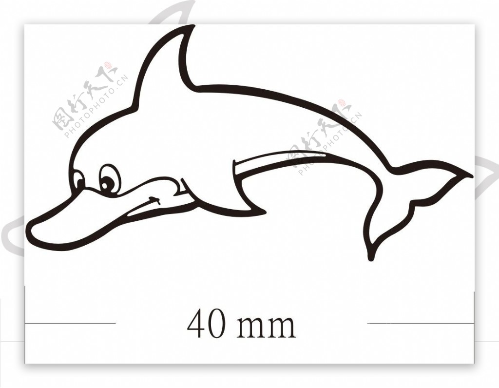 海洋公园海豚图片