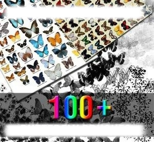 100个蝴蝶笔刷