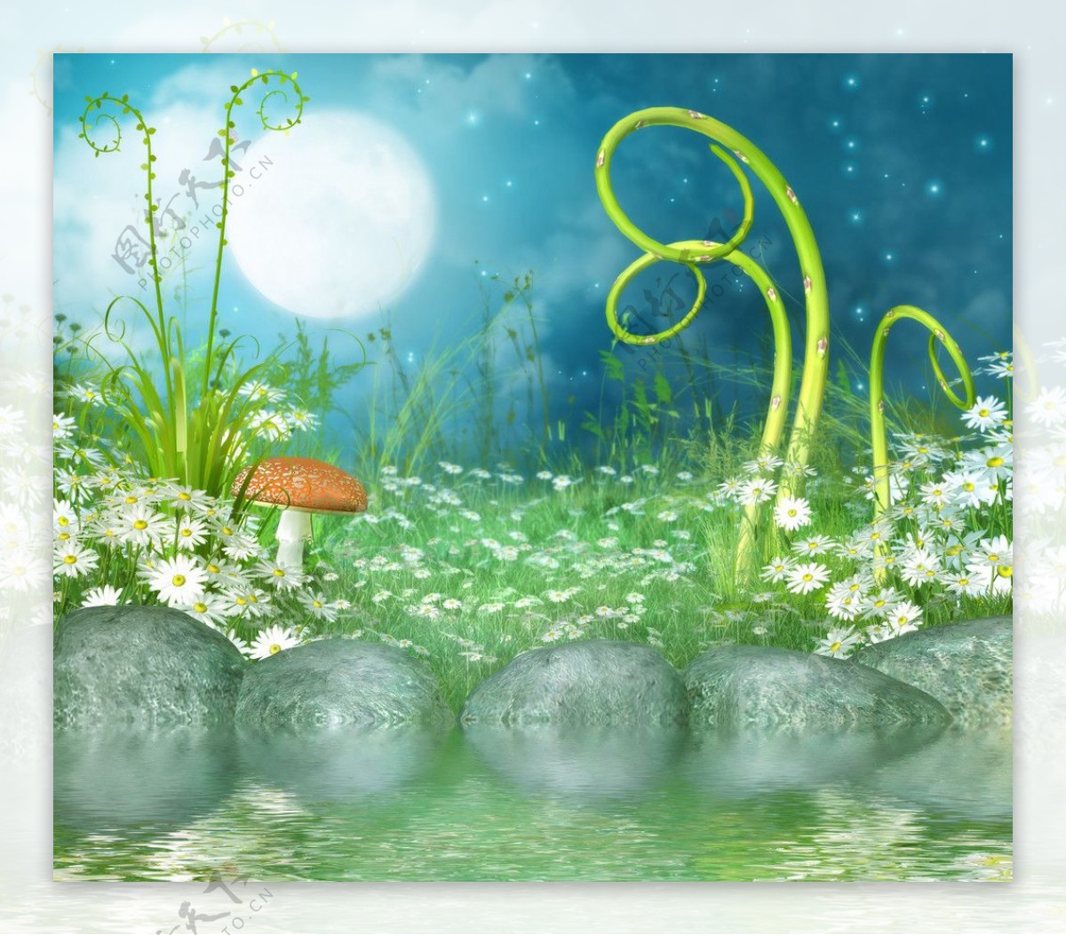 童话背景蘑菇藤蔓石头图片