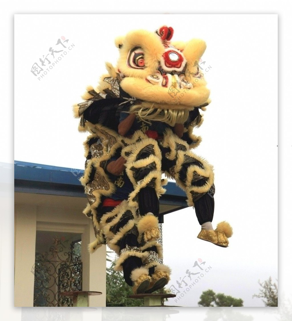 舞狮南狮中国传统文化表演艺术瑰宝节庆华人狮子liondance桩跳图片