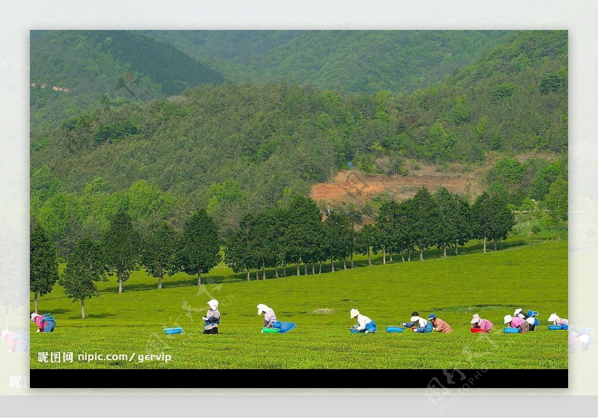 旷野图片