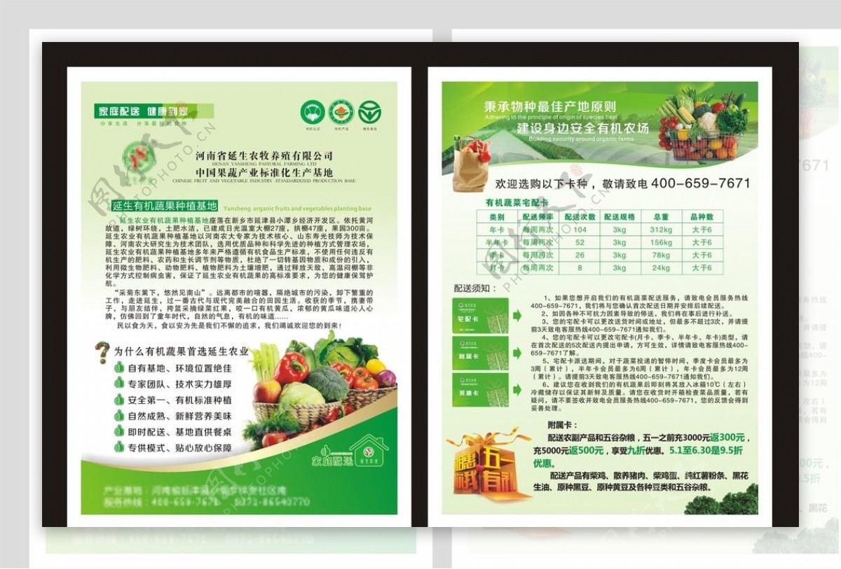绿色有机蔬菜单页图片