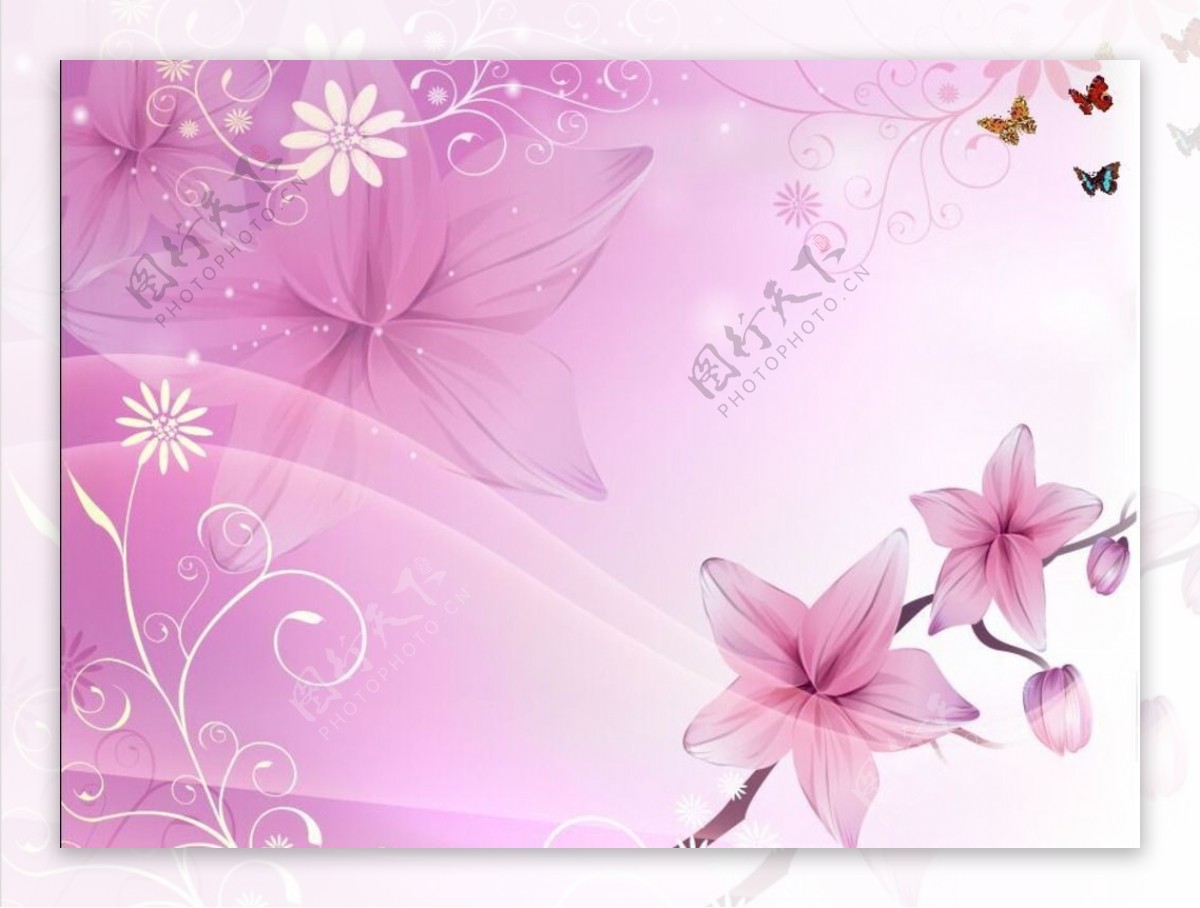 粉色电视背景图蝴蝶和花朵图片