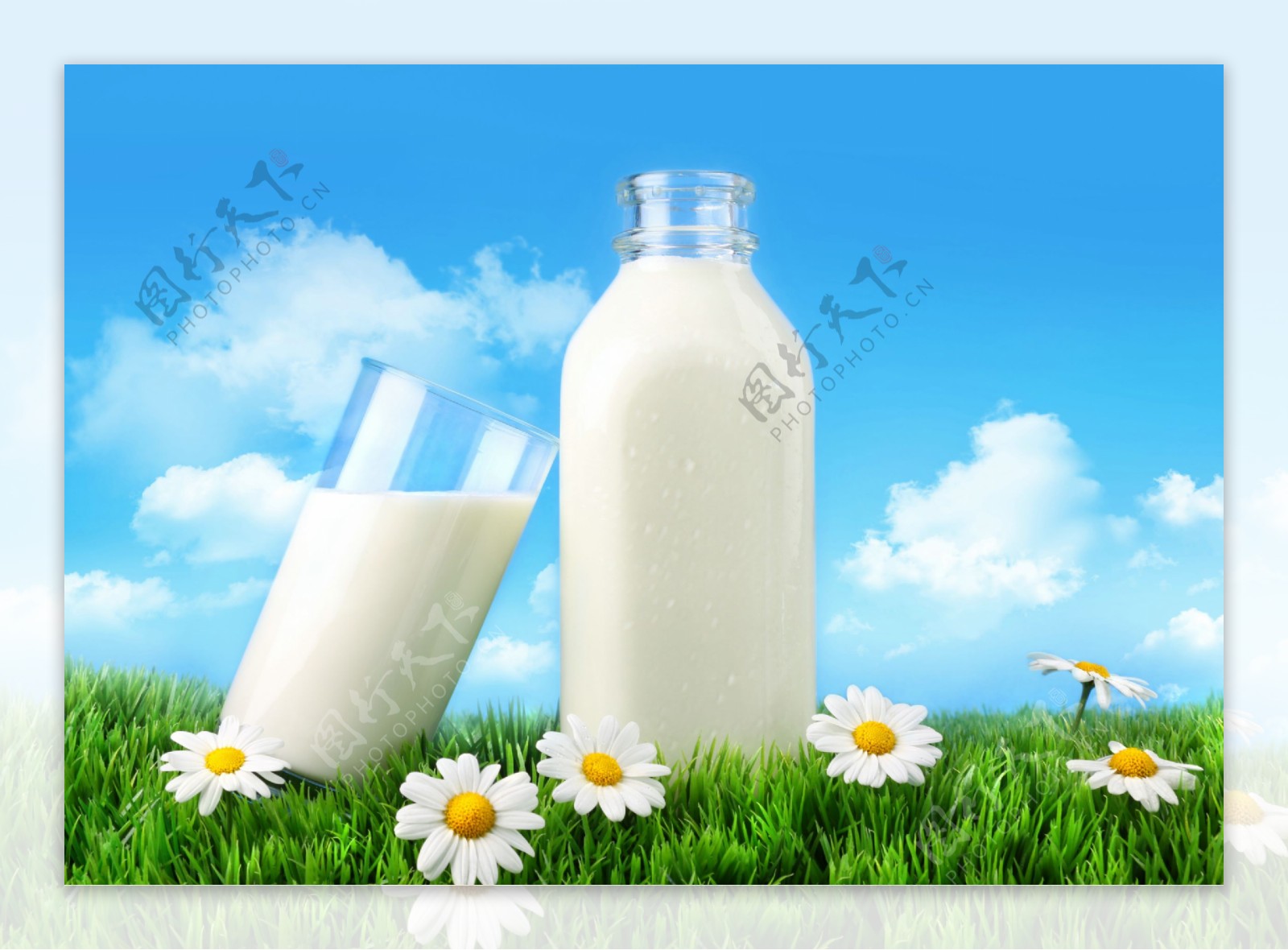 牛奶图片素材-编号26963101-图行天下