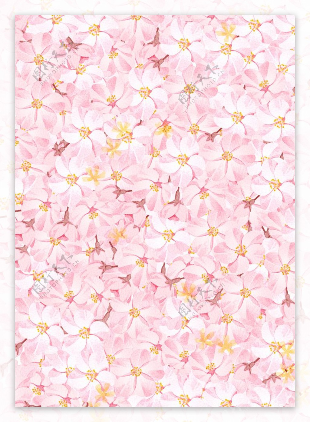 水彩樱花背景墙纸图片