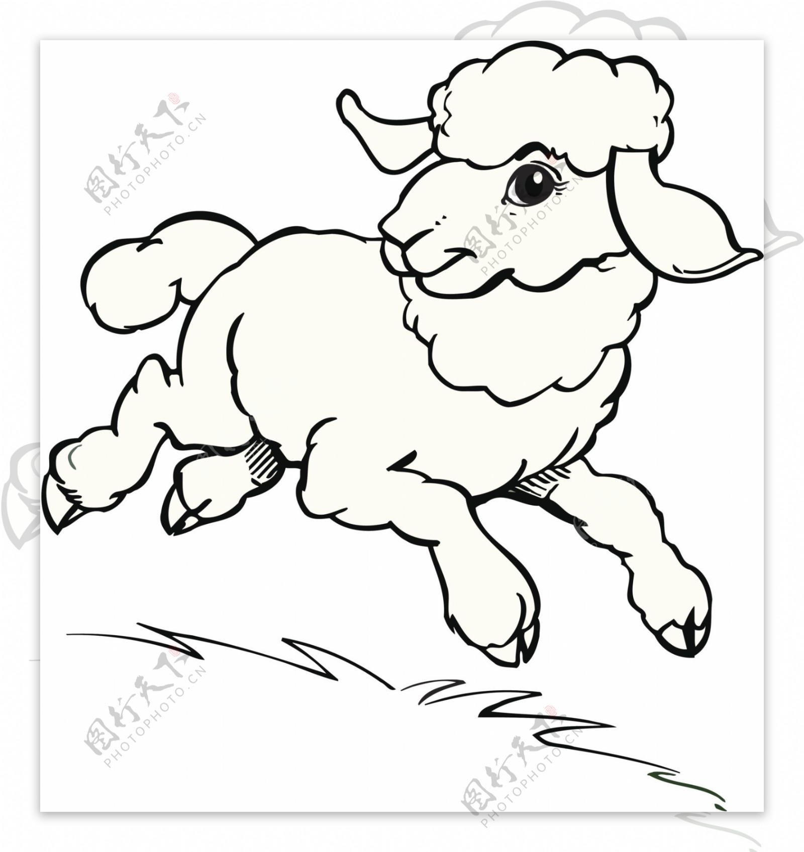 儿童画简笔画图片欣赏 小羊羊简笔画教程 肉丁儿童网