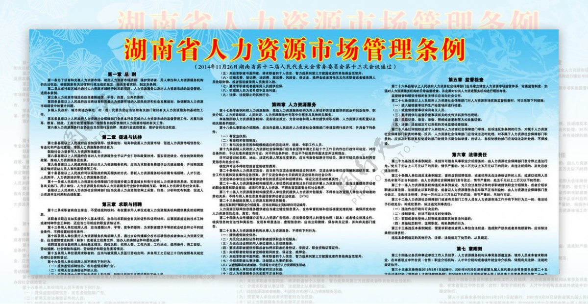 湖南省人力资源市场管理条例图片
