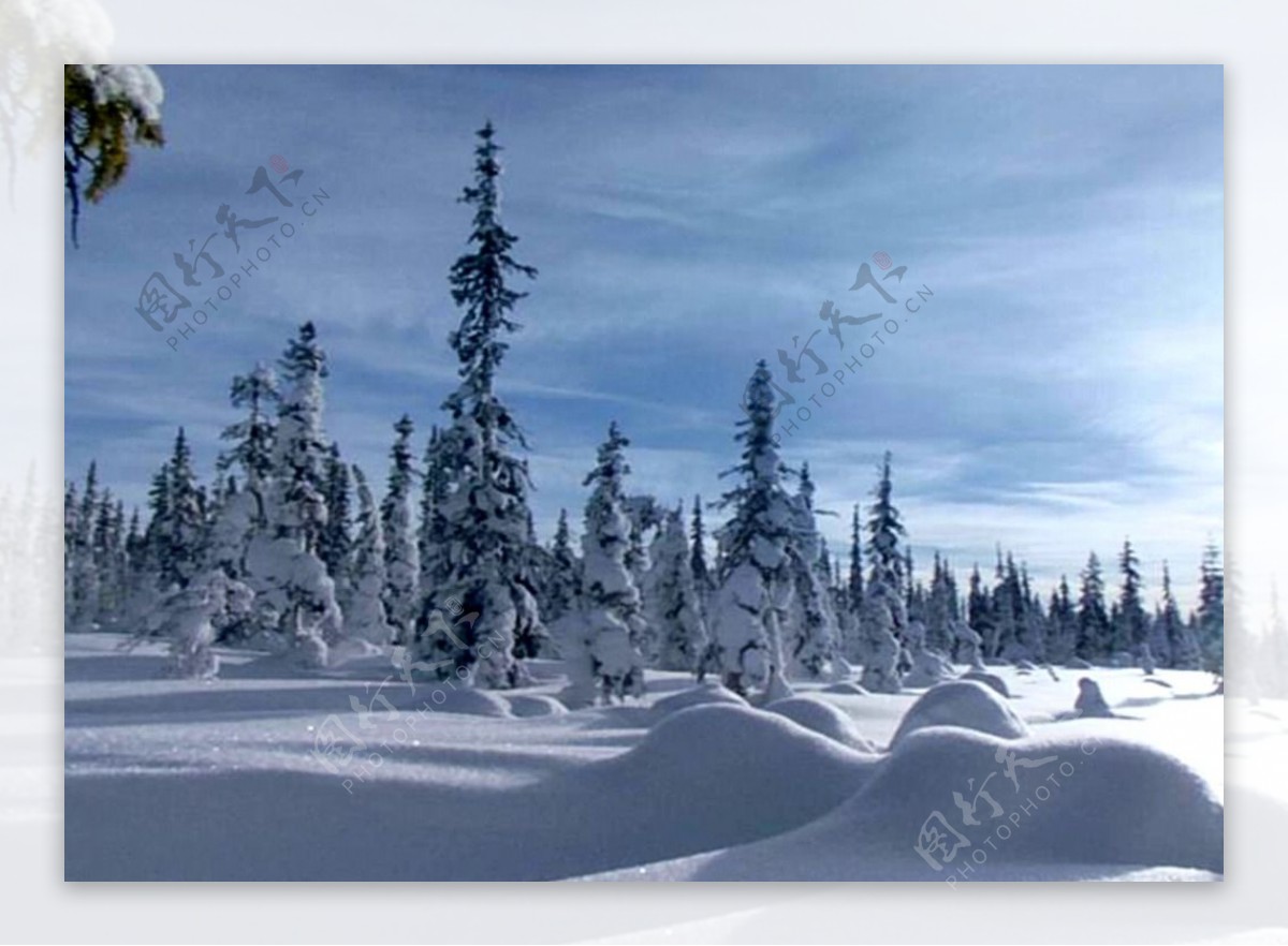 雪景视频