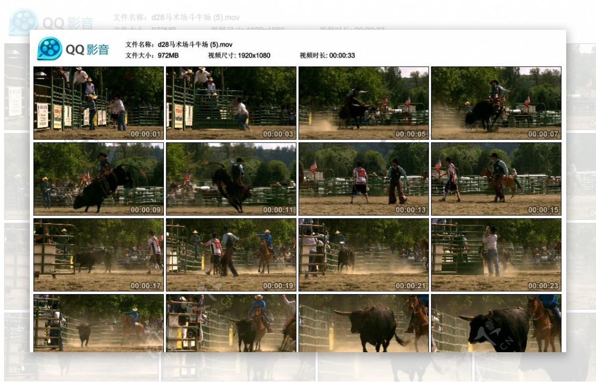 骑野牛比赛高清实拍视频素材