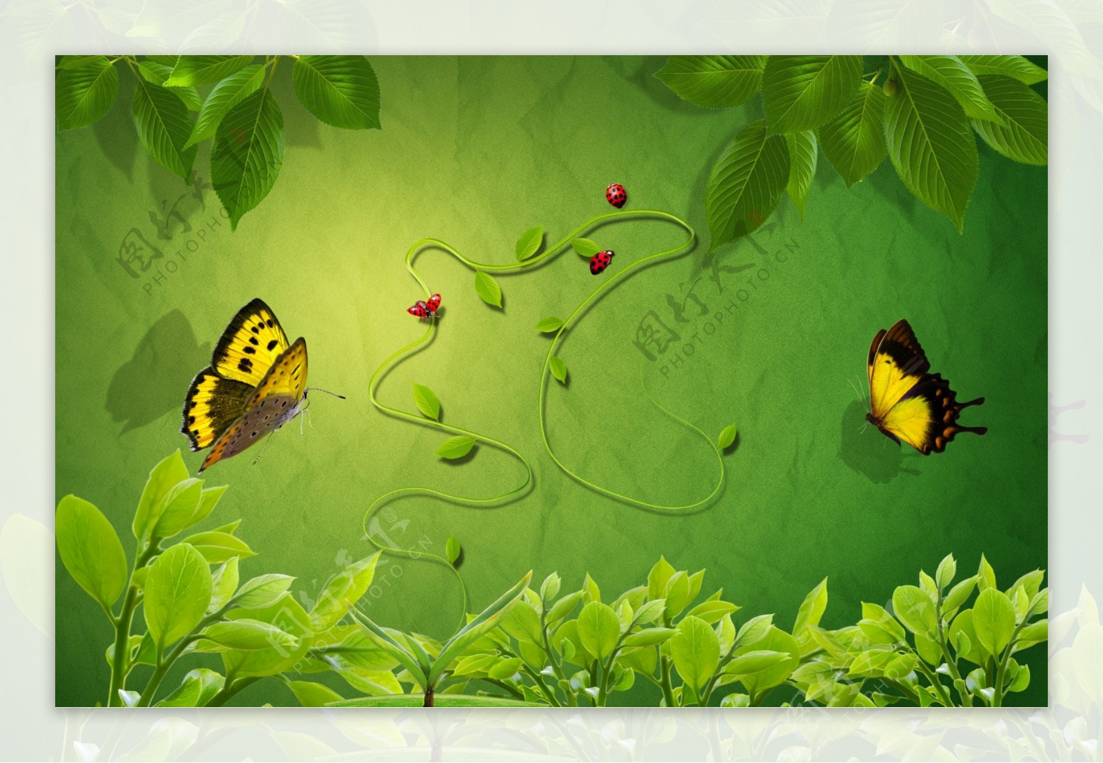 绿色花园和蝴蝶PSD分层图片