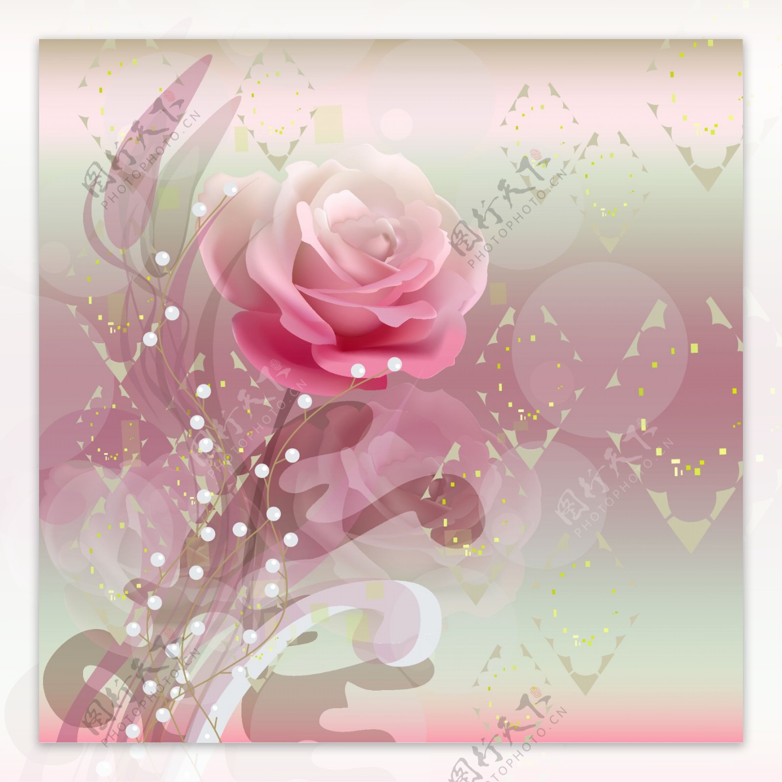 粉色浪漫玫瑰背景图片