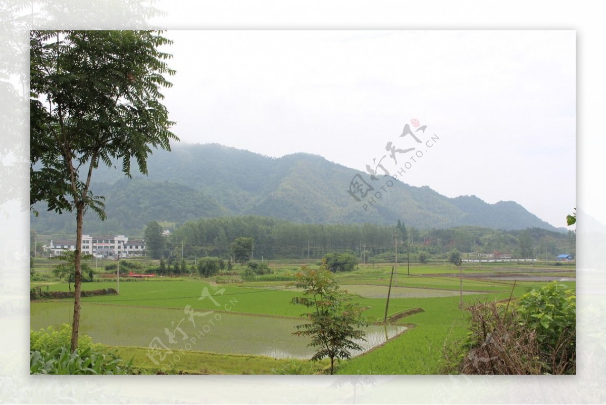 云岭罗里村风景图片