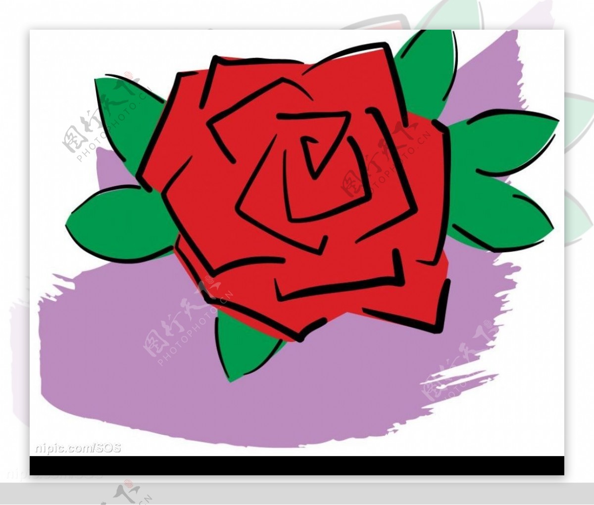 玫瑰花图片素材-编号15310500-图行天下