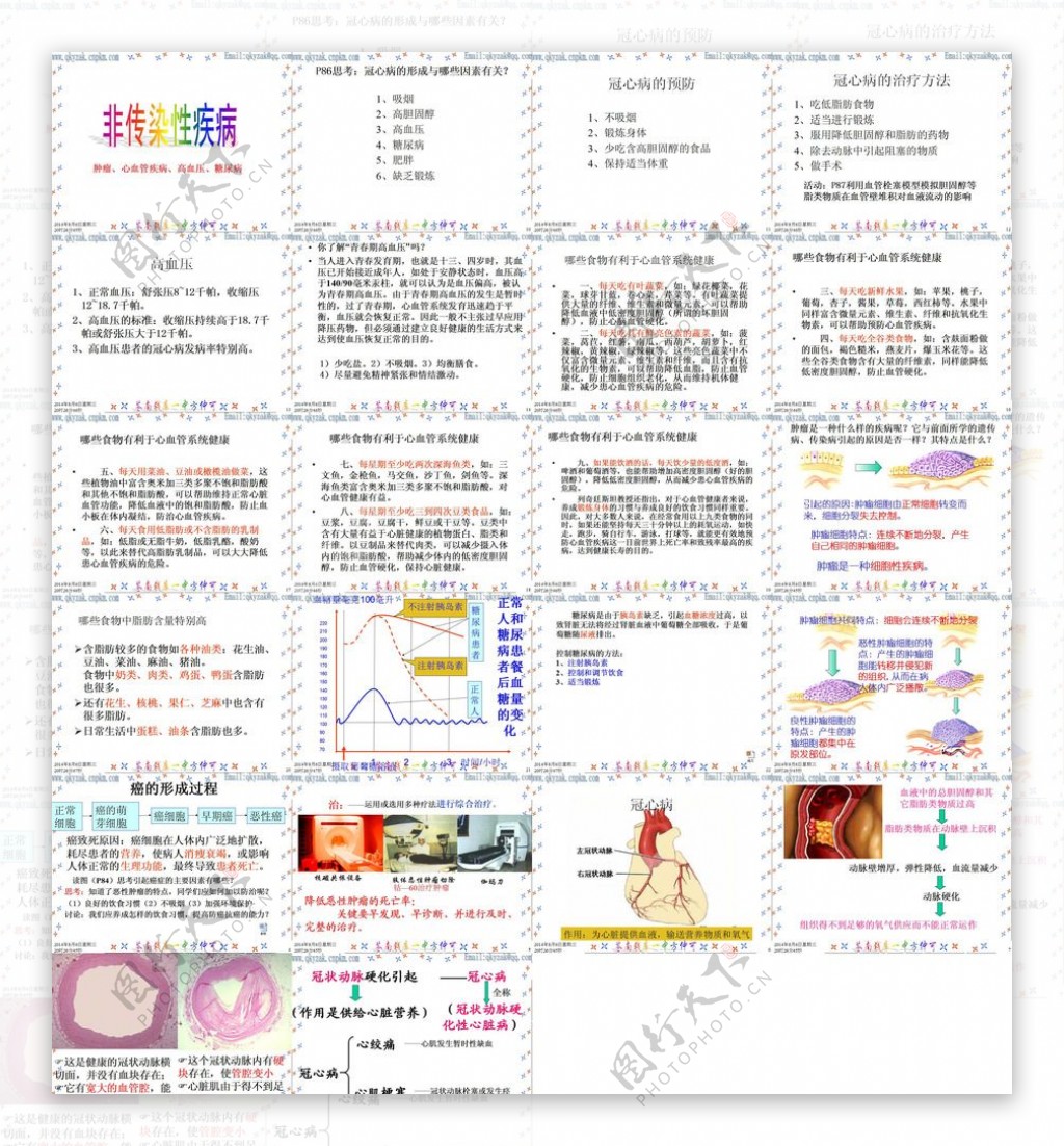 非传染性疾病