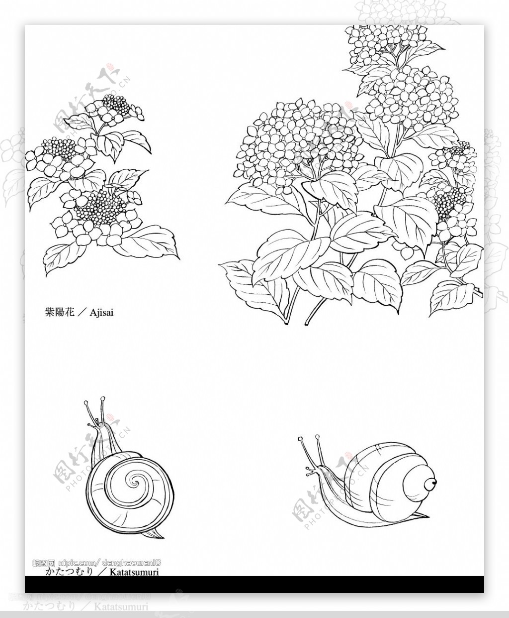 日本矢量素材.花草.动物图片